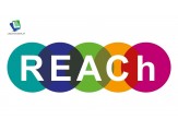 REACH Certified: Leadtek ensuring Safe and Sustainable Display Screens